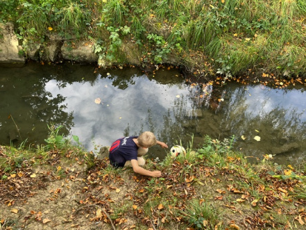 Image d'illustration pour : Terrain multisport Centre Attert - barrière de protéction